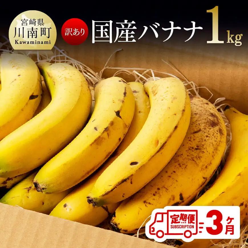 【定期便】【訳あり】国産バナナ1kg　3ヶ月定期便【国産 バナナ 無農薬 フルーツ 果物 デザート 朝食 スムージー 訳ありバナナ 全3回】