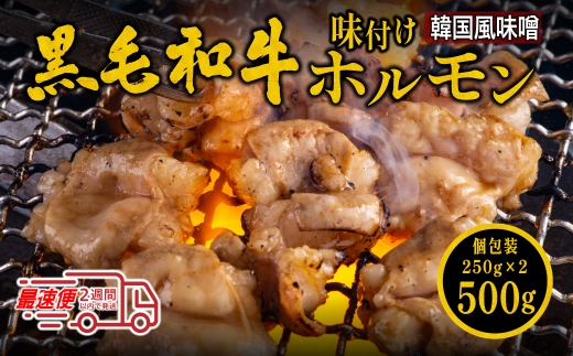 国産黒毛和牛 タレ漬け 牛 ホルモン ミックス 韓国味噌ダレ 500g (250g x 2袋) 焼肉用 ホルモン 肉 小分け 冷凍 モツ