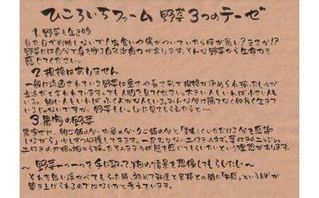 【12ヶ月定期便／毎月2回(合計24回)発送】訳あり 野菜セット 約3～4種類 農家のおすそわけ 旬 野菜セット