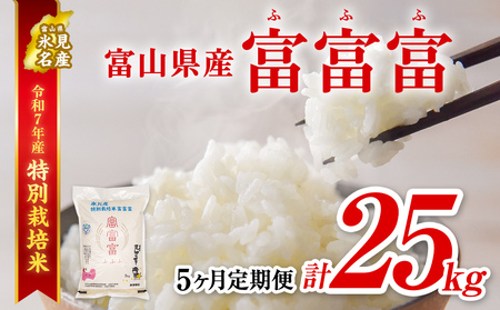 【特別栽培米】 〈5ヶ月定期便〉令和7年産 富山県産 “富富富” 5kg　