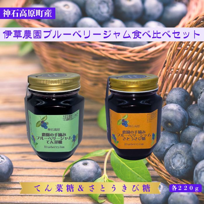 【ふるさと納税】ブルーベリージャム　2個セット　てん菜糖210gさとうきび糖210g /送料無料/無農薬/化学肥料不使用/無添加/広島県/神石高原町産