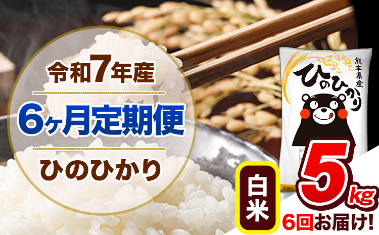 【6ヶ月定期便】令和7年産 定期便 ひのひかり 白米 5kg 《お申込み翌月から出荷開始》熊本県産 ふるさと納税 白米 精米 ひの 米 こめ ふるさとのうぜい ヒノヒカリ コメ 熊本米 ひのもり