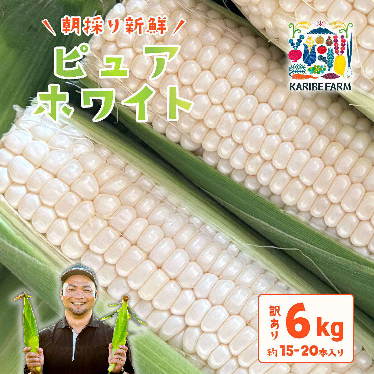 【ふるさと納税】【先行予約】【訳あり】下妻産朝採りとうもろこし（ピュアホワイト）約6kg【2026年6月下旬～7月下旬ころ順次発送予定】【とうもろこし とうきび トウモロコシ 甘い スイーツ デザート ピュアホワイト コーン 人気 野菜 新鮮 おすすめ】