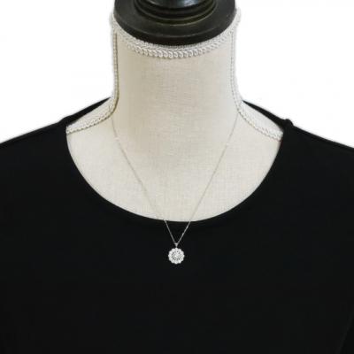 ふるさと納税 甲府市 プラチナダイヤモンド0.75ctUPペンダント　PNI-308PTNW |  | 01