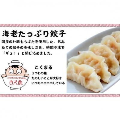 ふるさと納税 藤沢市 餃子60個　海老餃子10個　春巻き5本　セット |  | 02