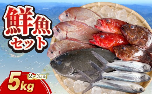 (冷蔵) おまかせ 鮮魚セット 2～3人前 鮮魚 海鮮 セット 海の幸 魚介 詰め合わせ 食べ比べ グルメ 魚 伊勢志摩 三重県 南伊勢町 丸池 18000円 20000円以下 2万円以下 二万円以下
