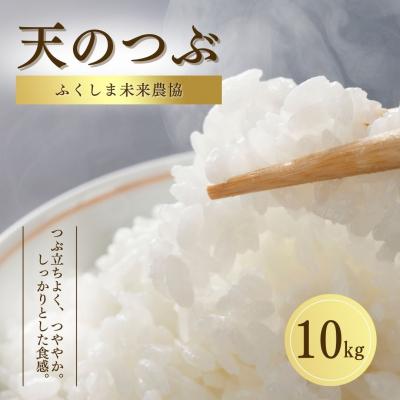 ふるさと納税 南相馬市 白米 10kg 天のつぶ 令和7年産 お米 ふくしま未来農協【53862-001-01】