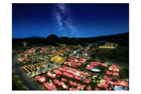 いばらきフラワーパーク 年間パスポート 1名分 入園し放題 四季の花々 レストラン 割引特典付き いばらき フラワーパーク チケット 入園券 金券 観光 旅行 家族 茨城 関東近辺 首都圏 関東 花 