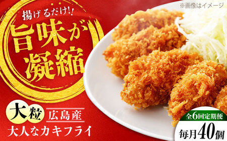 【全6回】牡蠣 冷凍カキフライ40個 牡蠣[XCU009]
