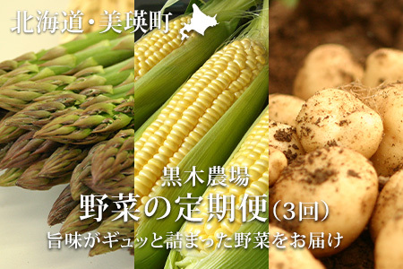 野菜 定期便 3回便【令和9年産予約受付】北海道野菜 新鮮な野菜 詰め合わせ 北海道 黒木農場