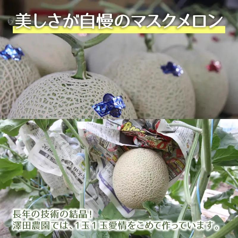 【先行予約】青肉マスクメロン（1.5kg以上 2玉入）味も見た目も抜群！アールスメロン  / あわら 期間限定 果物 フルーツ 産地直送 青肉 人気 ギフト 贈答 ※2026年7月上旬より順次発送  