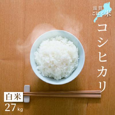 ふるさと納税 長浜市 令和6年産 滋賀県湖北産 湖北のコシヒカリ　白米　27kg【食味最高ランク特A 3年連続受賞】