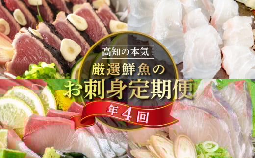 刺身 定期便 【 4ヶ月 】 小島水産 がお届けする！ 美味しい お刺身 （ 鮮魚 下処理済 ） 産地直送 4回（ カンパチ カツオ 鯛 ブリ ）  新鮮 定期 刺身 魚貝 かんぱち 勘八 鰹 かつお カツオのタタキ 鰹のたたき マダイ 真鯛 タイ 鰤 高知県 須崎市 KS7000-2x
