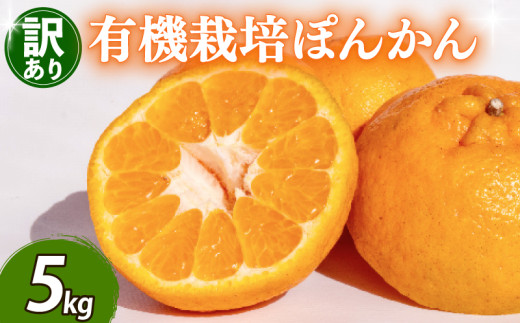【早期予約 2026年2月上旬より順次発送】 訳あり ぽんかん 5kg サイズ混合 オーガニック 無農薬 防腐剤 不使用 有機 JAS認定 柑橘 みかん 蜜柑 家庭用 早期予約 期間限定 季節限定 数量限定 ふるさと納税柑橘 ふるさと納税ぽんかん TJ0021