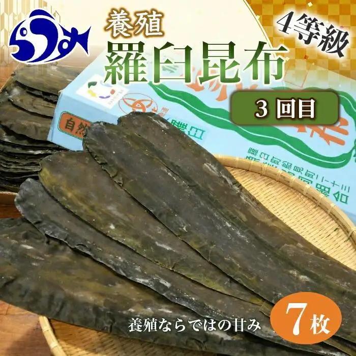 【年3回】羅臼昆布の出汁比べ定期便（等級比較）羅臼昆布 だし 和食 国産 知床 北海道