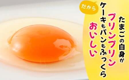 ぷりんセス・エッグ 30個『北川鶏園 房総のあおぞら農場』｜たまご タマゴ 玉子 卵 ブランドたまご 産みたて 新鮮 プレミアム プリンセスエッグ ぷりんせすえっぐ [0250ch]