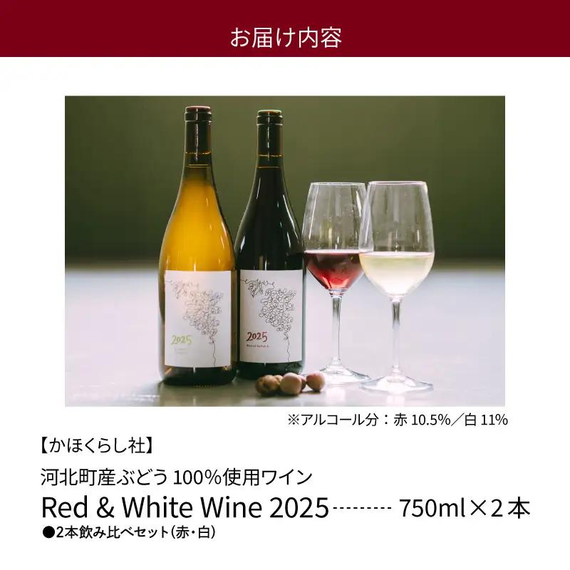 ワイン 2025 赤白 2本飲み比べセット 750ml 各1本 ワイン