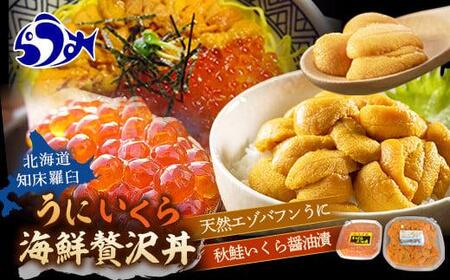 【先行予約/2026年1月より発送】知床羅臼産 うに・いくら贅沢海鮮丼セット（無添加エゾバフンうに（塩水うに）100g×1、秋鮭いくら醤油漬100g×1） うに うに うに うに うに