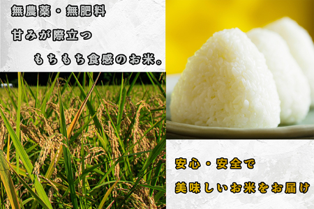 CB-005_合鴨農法のお米「ゆく鴨米」(元気つくし)5kg~安心・安全なお米を行橋市からお届け
