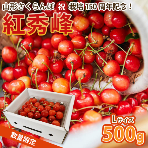 山形さくらんぼ (祝)栽培150周年記念！紅秀峰 500g L玉 数量限定！【令和8年産先行予約】FS25-111 くだもの 果物 フルーツ 山形 山形県 山形市 2026年産