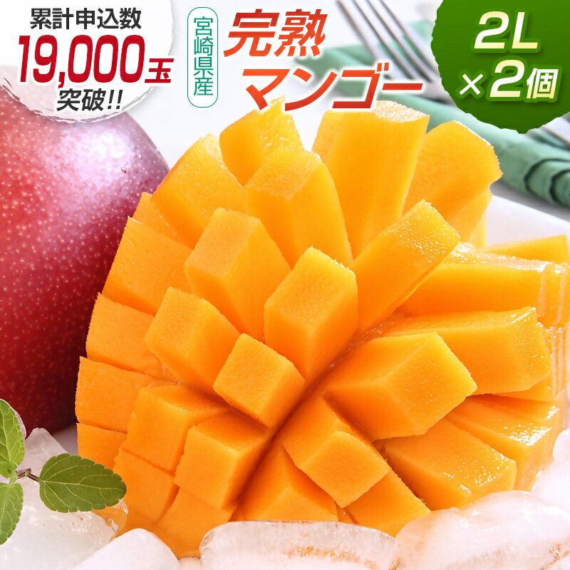 【ふるさと納税】宮崎県産 完熟マンゴー2L×2個 西都市産品【数量限定】 西都市産＜1.2-39＞ 人気 さいと サイト ふるさと 宮崎 先行予約 果物 フルーツ
