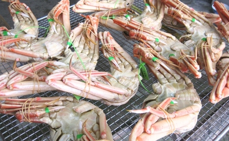 松葉蟹 ほぐし身(特々大) ※活き蟹1100g級使用[ 剥き身 蟹 松葉ガニ ズワイガニ カニ かに 国産 ]