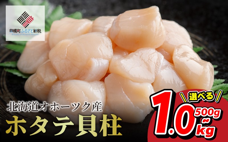 
                  北海道オホーツク産 ホタテ貝柱 選べる 500g ～ 1kg 冷凍 海鮮 魚介 ふるさと納税 人気 おすすめ ランキング 帆立 ほたて ホタテ 帆立貝柱 ほたて貝柱 ホタテ貝柱 貝柱 貝ばしら ホタテ刺身 刺身 オホーツク 北海道 美幌町 【配送不可地域：離島】
                