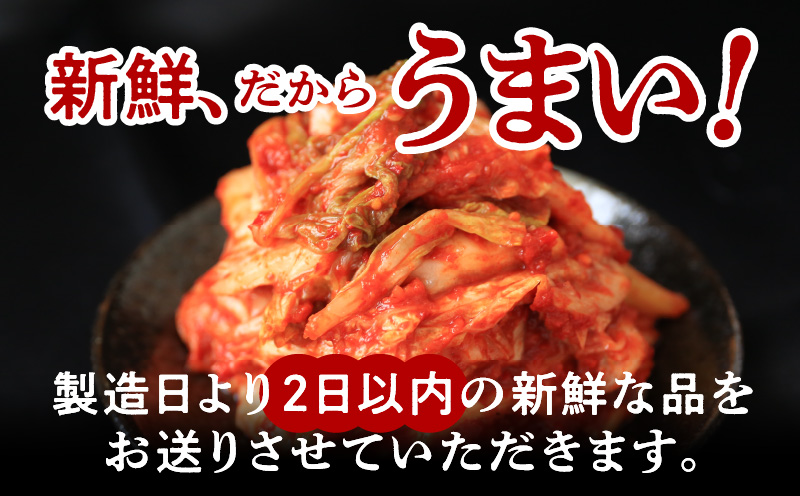 定期便 白菜キムチ 1kg × 6回【毎月配送コース 高評価 人気 惣菜 きむち 漬物 韓国グルメ おつまみ 家計応援 お楽しみ 福袋 大阪 泉佐野 大阪府 泉佐野市】