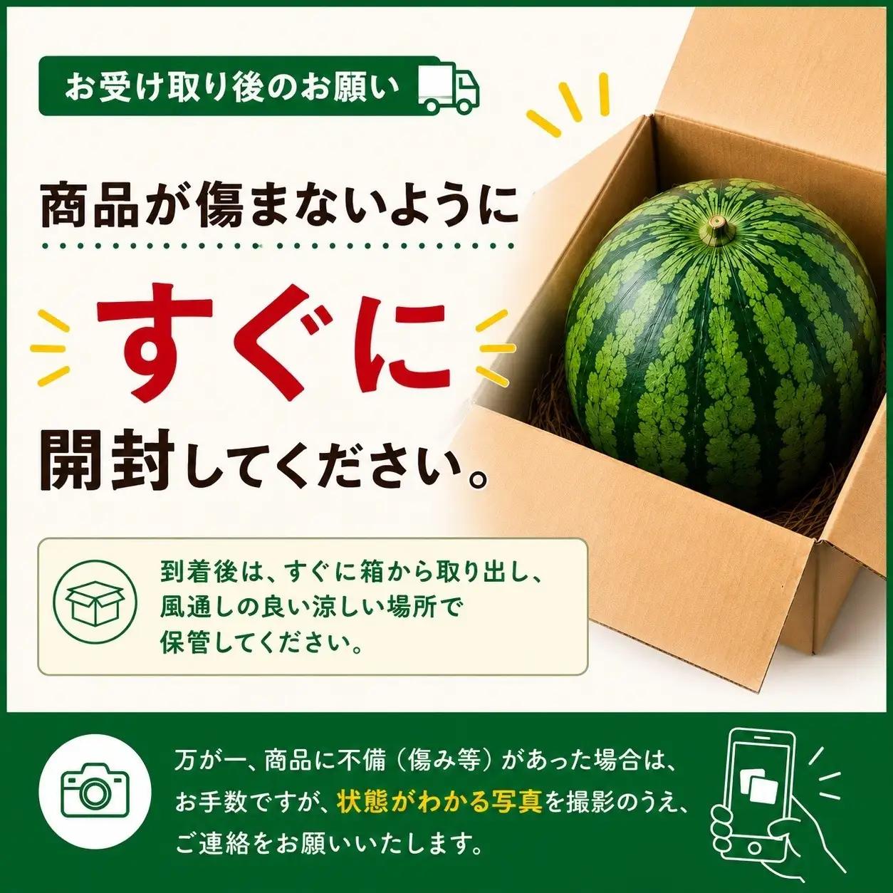 【高級】八色原すいか大玉２玉 | すいか