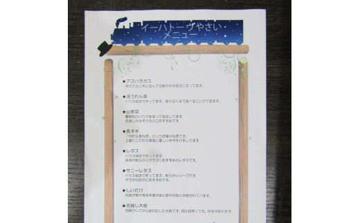 【定期便３ヶ月】イーハトーヴ野菜B 満足セット 9品～ 詰め合わせ 【1204】