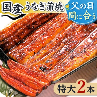 浜名湖・うなぎのたなかの長蒲焼2本セット!ふっくら柔らか♪国産うなぎ長蒲焼※合計360g程度【配送不可地域：離島】【1417614】