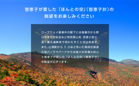 あだたら山ロープウェイ往復乗車券大人1名様分《奥岳の湯日帰り入浴券付き》ロープウェイ チケット 日帰り 温泉 安達太良山 おすすめ お中元 お歳暮 ギフト 二本松市 ふくしま 福島県 送料無料【富士急