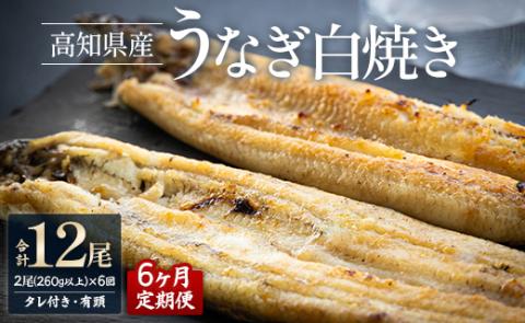 【6ヶ月定期便】高知県産うなぎの白焼き 合計12尾 (2尾260g以上×6回) タレ付き エコ包装 - 鰻 ウナギ しらやき 有頭 つまみ ご飯のお供 ごはん 丼 たれ 簡易 Wyw-0069