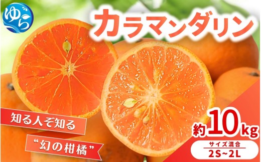 カラマンダリン 10kg / くだもの 甘い みかん 柑橘 果物 和歌山  ※2027年3月下旬～4月上旬頃に順次発送【nktn015-r-10】