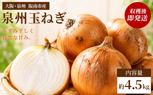 【味にこだわった新玉ねぎ】はたなかさんちの泉州玉ねぎ4.5Kg　
