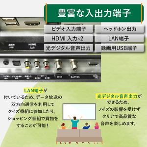 テレビ 24V型 ハイビジョン 液晶テレビ 家電 ダイコーアペックス (AP2440BJ)  壁掛けテレビ 置き型テレビ 国産テレビ 24V型テレビ