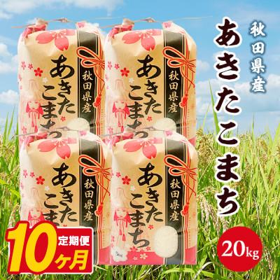 ふるさと納税 八郎潟町 【毎月定期便】あきたこまち 20kg(5kg×4袋)【白米】 秋田県産全10回