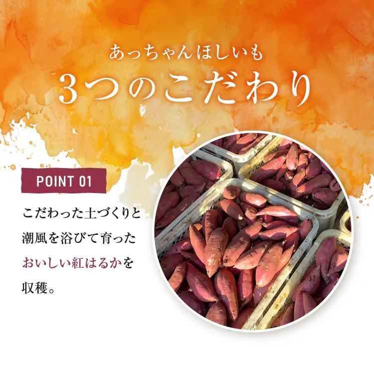 訳あり 干しいも 2kg 干し芋 茨城 _CL009-3