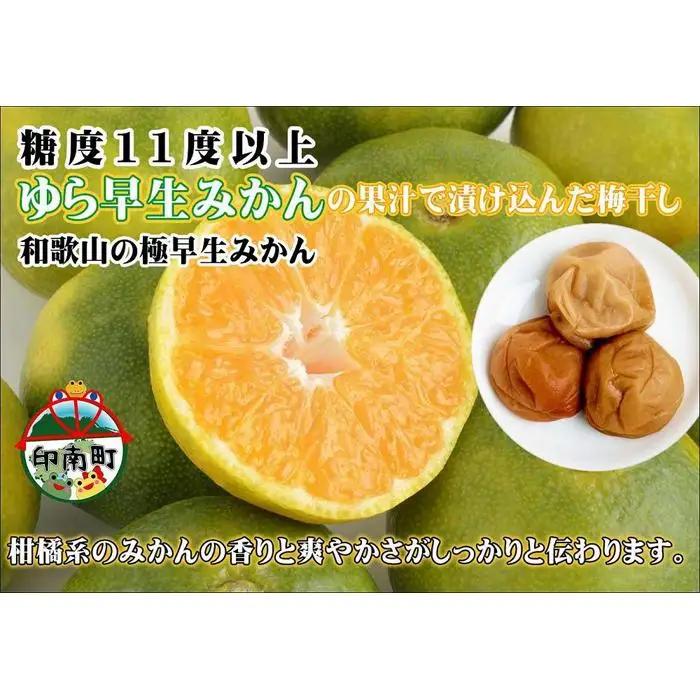 みかんこい梅　100g×5個