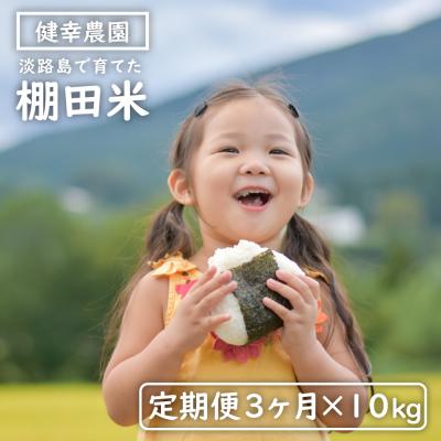 ふるさと納税 淡路市 【定期便】健幸農園の棚田米 10kg×3ヵ月セット　ak29015