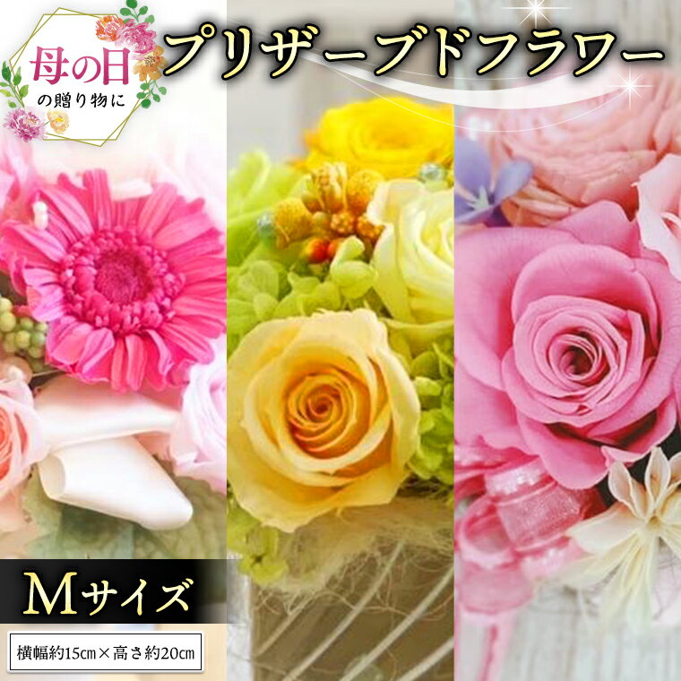 【ふるさと納税】【 母の日 】 プリザーブド フラワー M ギフト プレゼント 花 お祝い 贈答 記念日