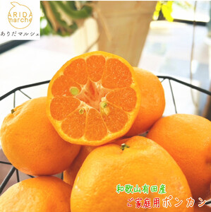 ［先行予約］極甘 柑橘 有田育ちの 濃厚 ポンカン（家庭用）5kg［MS45］