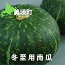 【ふるさと納税】≪令和7年産予約受付！≫冬至用 南瓜 かぼちゃ 5kg 野菜 送料無料　野菜 北海道 北海道美瑛 北海道美瑛町 美瑛町 冬至用かぼちゃ　おおとり[013-60]