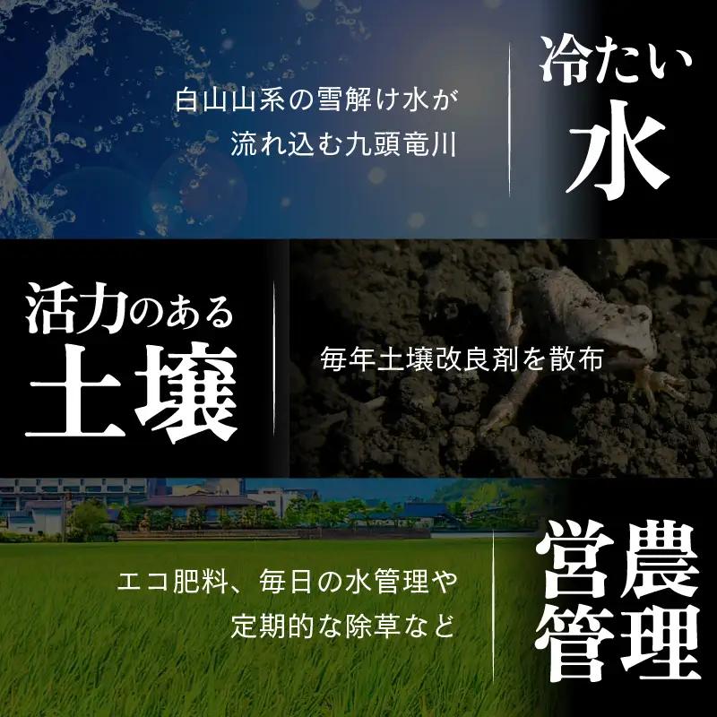【先行予約】【令和8年産 新米】【一等米】エコ栽培コシヒカリ 白米5kg ／ 鮮度抜群 福井県産 こしひかり ご飯 新鮮 白米 ※2026年10月上旬以降順次発送 [aw063-a030]