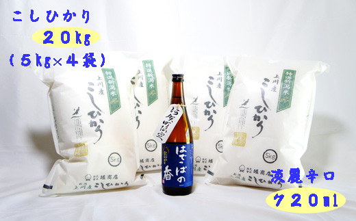 【米と日本酒セット】米 20kg 20キログラム 新潟県 阿賀町 上川産 コシヒカリ 令和7年産 + 本醸造 はでっぱの香 720ml×1本  新潟県産コシヒカリ 新潟県産こしひかり ご飯 ごはん 日本酒 酒 お酒 アルコール セット 国産