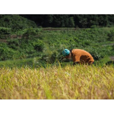 ふるさと納税 魚沼市 令和7年産【無洗米】「米食味鑑定士　厳選」魚沼産コシヒカリ　3kg |  | 03