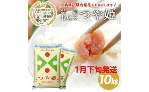 1月下旬配送／つや姫 計10kg 5kg×2袋 特別栽培米 令和7年産米 山形県産 米 お米 白米 精米 ブランド米 庄内米 東北 山形県 酒田市 庄内 一括 JAそでうら 農協 SE0436