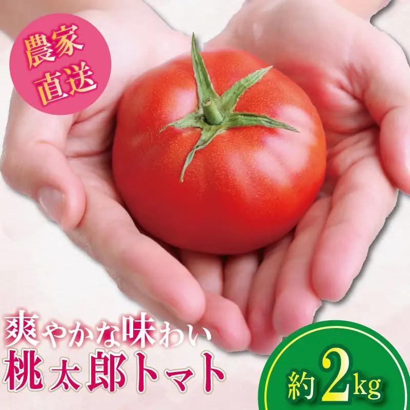 【2027年3月発送】 桃太郎トマト 約2kg 先行予約 トマト