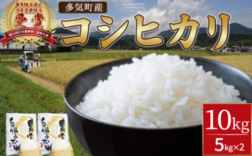 NE-02-01　【令和7年産】先行予約 新米 コシヒカリ 10kg ( 5kg ×2 )