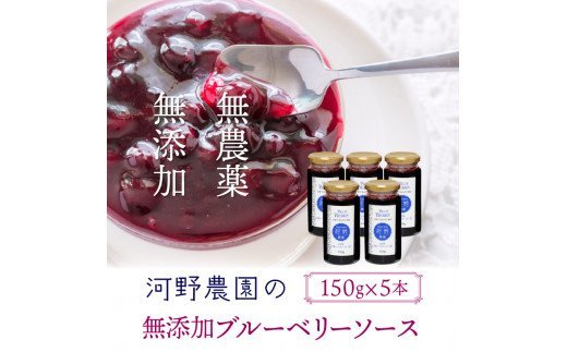 河野農園の無添加ブルーベリーソース150g×5本
